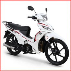 Kuba Motor Ege 50 CC