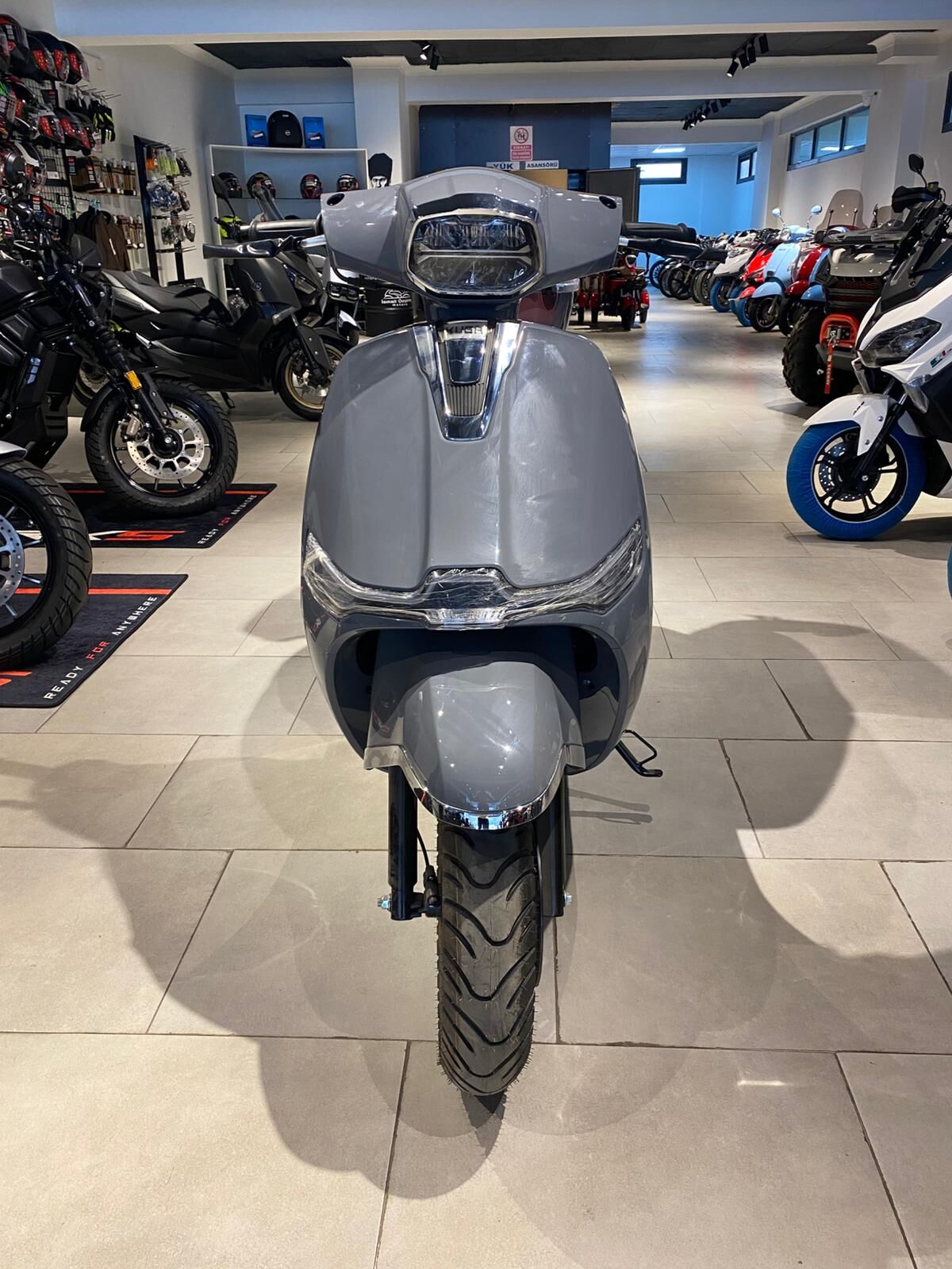 Kuba Master MT  50 (Borelli 50 CC) Pro Plus