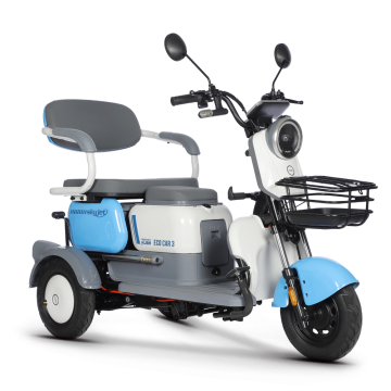 Skyjet Eco Car3