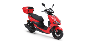 Kuba Pesaro 50x